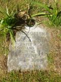 image of grave number 654781